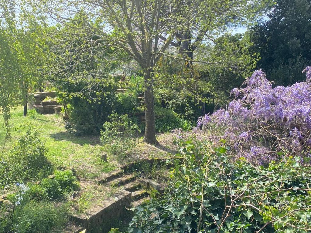 Agriturismo Solidor 皮蒂利亚诺 外观 照片