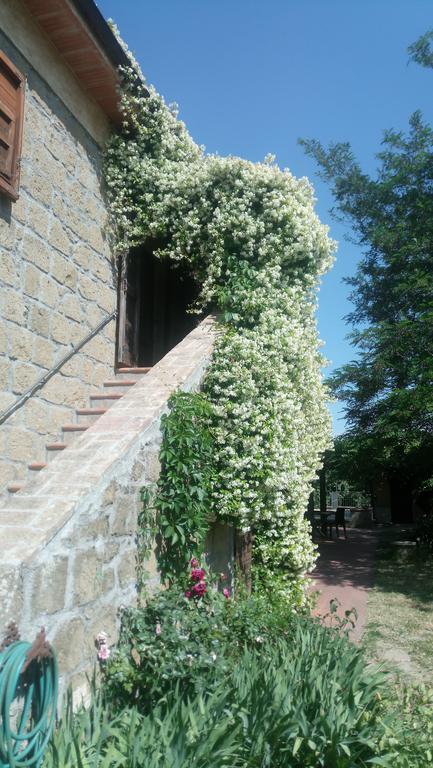 Agriturismo Solidor 皮蒂利亚诺 外观 照片
