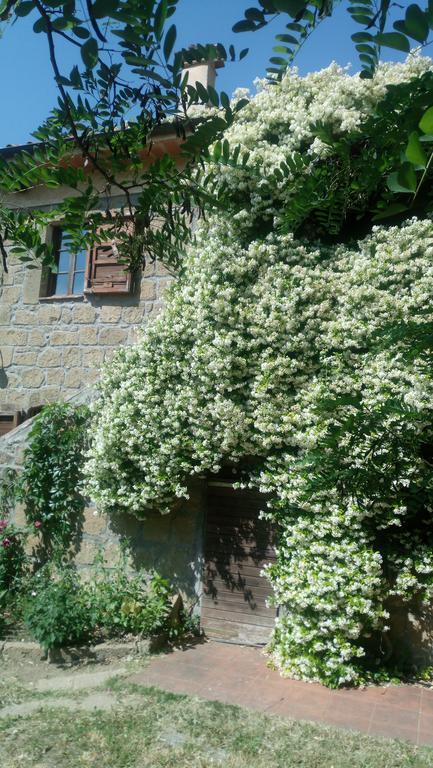 Agriturismo Solidor 皮蒂利亚诺 外观 照片